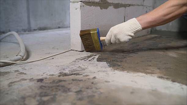 24/7 Emergency Vapor Barrier Installation experts in Osseo, MN